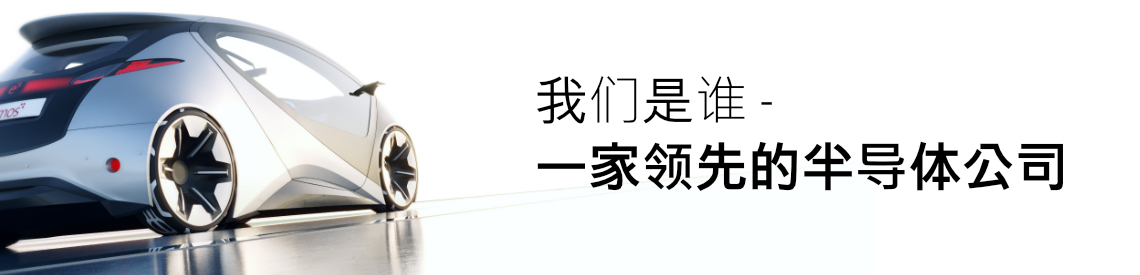 我们是谁 - 一家半导体公司 我们是谁 - 一家半导体公司